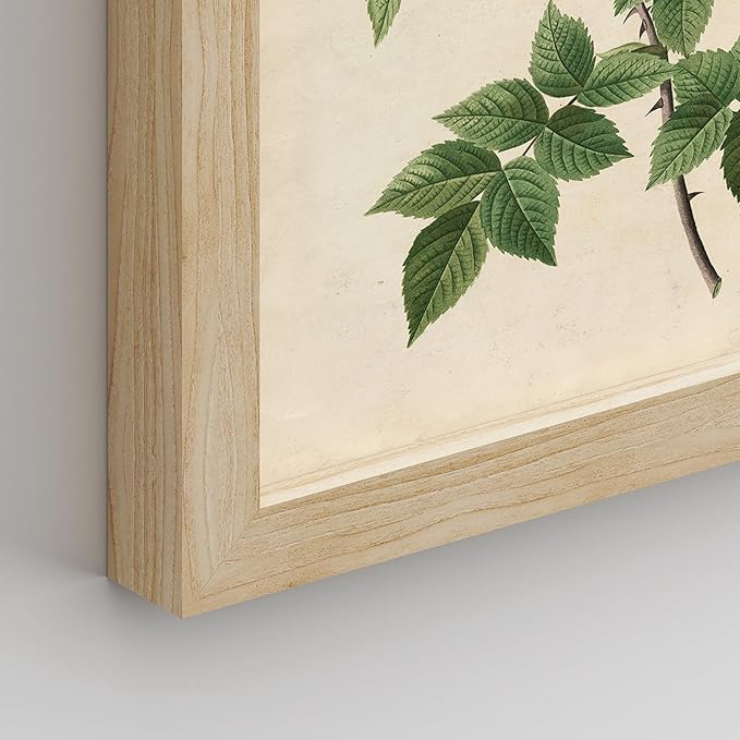 SIGNWIN Framed Vintage Colorful Wildflower Wall Art, Set of 4 Variety Floral Wall Decor Prints, Nature Wilderness Wall D¨¦cor for Living Room, Bedroom - 12"x16" Natural