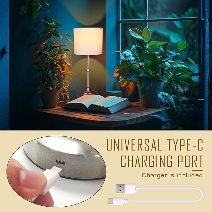 Rechargeable Battery Powered Table Lamp, Wireless LED Lamps, Cordless Touch Lamps, Stepless Dimmable Bedside Lamps, Night Lamp for Bedroom, Dinning Room, Kitchen Decor, Office (Silver)