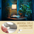 Rechargeable Battery Powered Table Lamp, Wireless LED Lamps, Cordless Touch Lamps, Stepless Dimmable Bedside Lamps, Night Lamp for Bedroom, Dinning Room, Kitchen Decor, Office (Silver)