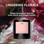 Boy Smells Les Scented Candle for Men and Women, Coconut, Beeswax, & Soy Candle Blend, Aromatherapy Candles for Home, 8.5 oz Jar, 50 Hour Burn