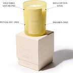 Bergamot & Jasmine Scented Candle | Benevolence LA Sun-Kissed Collection | 11oz, 60 Hour Burn | Natural Soy Wax, Cotton Wick | Fall Scented Candles for Home, Elegant Gift - Morning Ritual