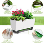 Glowpear Self-Watering Mini Bench Planter - 23.6" in Pot, Free Standing, UV Stable, Scalable, Indoor | Outdoor Pot with Water Gauge, for Home Kitchen Windowsill Gardening