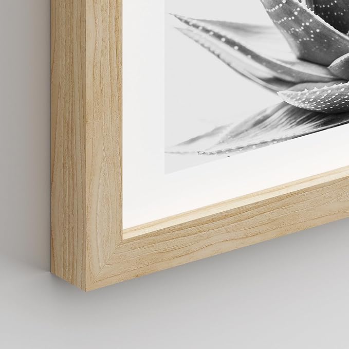 SIGNWIN Framed Black White Snake Plant Agave Cactus Succulent Wall Art, Set of 4 Floral Botanical Wall Decor Prints, Nature Wilderness Wall Décor for Living Room, Bedroom - 12"x16" Natural