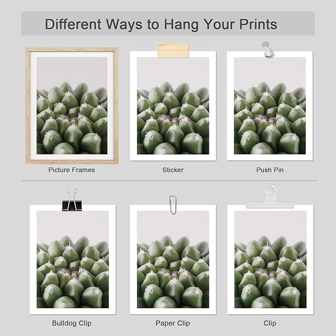 SIGNWIN Adhesive Canvas Poster Tropical Island Green Desert Plant Cactus Snake Plant Nature Wilderness Photography Realism Decorative Rustic Cozy Zen for Living Room, Bedroom, Office - 8"x10"x 4