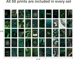 Y2K BOO Dark Green Wall Collage Kit - 50 Aesthetic Posters for Room Decor, Perfect for Dorms and Bedrooms, Stylish Dark Green Wall Art for Teen Girls and Cozy Spaces