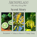 Archipelago Botanicals Havana Glass Jar Candle, Bergamot, Tobacco Flower and Ylang Ylang Scent, Lead-Free Candle Wicks, Burns Approx. 60 Hours (8.6 oz)