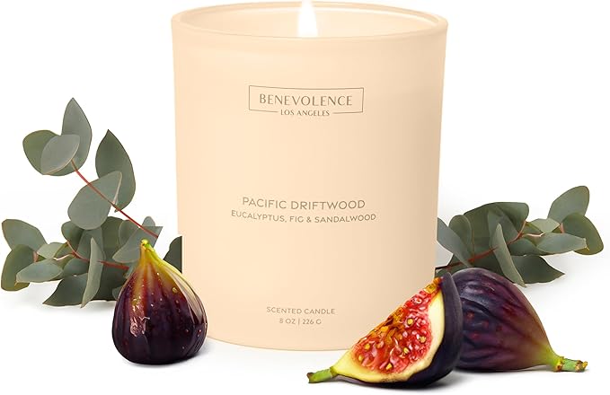 Eucalyptus, Fig & Sandalwood – Benevolence LA Fall Scented Candle for Home | 8oz, 45-Hour Burn | Natural Soy Wax, Cotton Wick | Fresh Autumn Fragrance | Malibu Sands Collection – Gift for Women & Men