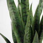 KOL 3FT Artificial Snake Plant, Fake Sansevieria Indoor Outdoor, 28 Thick PE Leaves Lifelike Faux Silk Plants, Home Decor Mother in Law Tongue 35in, Greenery for Office Decoration, Green