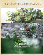 M&SENSE Eucalyptus & Cedarwood Scented Candle, 3 Wick 35oz Natural Soy Wax Candles for Home Scented, Green Candles Gift for Spring, 150 Hours Long Lasting Slow Burning