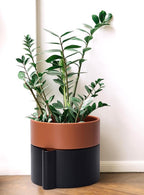 8 Inch Self-Watering Planter Pot with Terracotta Insert, Deep Water Reservoir, and Ceramic-Alike BPA-Free Plastic Planter Pot for Plant, Modern Planter for Houseplants, Black/Terracotta, 53-B-T-5