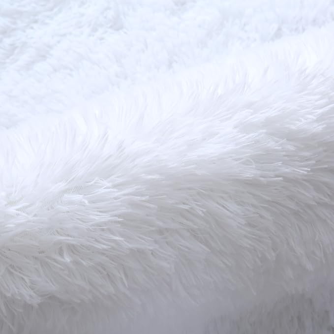 7x10 Area Rugs for Living Room: White Shag Area Rug 7 x 10 Carpets for Living Room - White Area Rug Modern Indoor Soft Shaggy Fuzzy Floor Carpet - Rugs for Bedroom,Living Room (White/7x10 Feet)