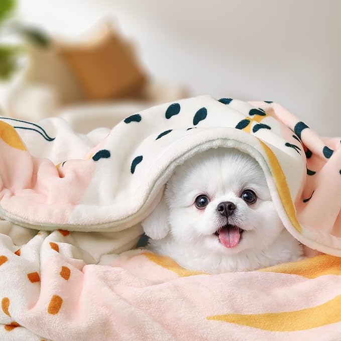 Lahome Pink Fleece Throw Blanket for Bed, Reversible Soft Throw Blankets for Women Cute, Warm Thick Throw Blankets for Couch, Apricot 50''x60''