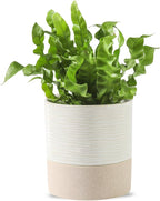 Nihow Self Watering Plant Pot: 4.5 Inch Ceramic Planter with Drainage Hole & Water Storage Plus for Indoor & Outdoor Plants - Cylinder Flower Pot for Herbs/Violets - White & Brown