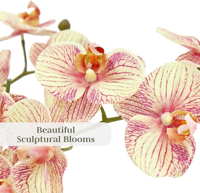 CG Hunter Faux Orange Orchid Plant, Premium Artificial Indoor Flower Display Stands 23”, Beautiful Sculptural Blooms That Lasts Forever, White Planter Pot Included