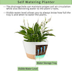2 Pack 10 Inch Hanging Planters for Indoor Outdoor Plants, Hanging Plant Flower Pot Basket with Drainage Hole with Removable Tray&Hooks Self Watering Plant Pot for Hanging Plants, White