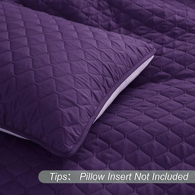 Exclusivo Mezcla Reversible Full Queen Quilt Bedding Set with Pillow Shams, Lightweight Quilts Queen Size, Soft Bedspreads Bed Coverlets for All Seasons - (Deep Purple, 90"x96")