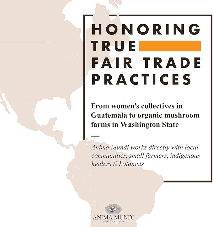 Anima Mundi Apothecary Palo Santo Myst - Natural Room Spray Air Freshener with Palo Santo from Ecuador, Wildcrafted Sustainable Home Fragrance Spray (4oz)