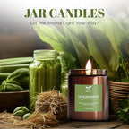 Lemongrass Scented Soy Jar Candle – 6.3oz Natural Soy Wax Candle for Stress Relief – Clean, Long-Lasting Burn – Non-Toxic Aromatherapy Gift for Her – Home Spa & Room Décor