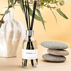 Clesh Reed Diffuser Set, 6.7 oz Eucalyptus Scented Diffuser with Sticks, Home Fragrance Reed Diffuser for Bathroom Shelf Decor