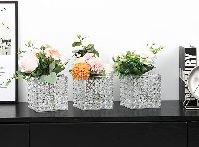 Square Vases Set of 6, 5" x 5" x 5" Square Glass Vases for Flowers, Clear Flower Vase for Centerpieces, Small Bubble Vase for Wedding, Party, Home, Office, Parties, Events