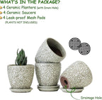 4 Inch Mini Plant Pots, Ceramic Succulent Planter with Drainage Hole and Saucers for Indoor Plants, Small Garden Pots for Succulent, Herb and Flower, Set of 4