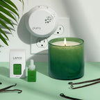 LAFCO New York Classic Candle, Jungle Bloom - 6.5 oz - 50-Hour Burn Time - Reusable, Hand Blown Glass Vessel - Made in The USA