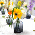 24 Pack Black Clear Bud Vases, Small Glass Mini Vases – Modern Small Decorative Vases in Bulk for Floral Arrangements, Wedding Centerpieces, Table Decor, Home & Party Decorations