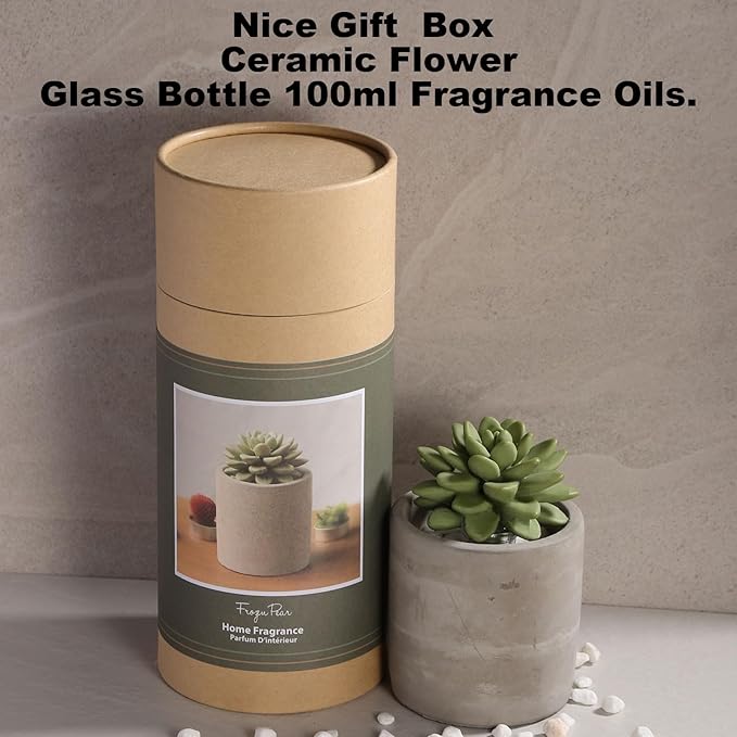 Reed Diffuser Set, Pretty Valley Home Succulent Gypsum Ceramic Fragrance Diffuser Vase Set - Frozen Pear 3.38 fl oz (100 ml), Home Fragrance Reed Diffuser for Bathroom Office Living Room Decor