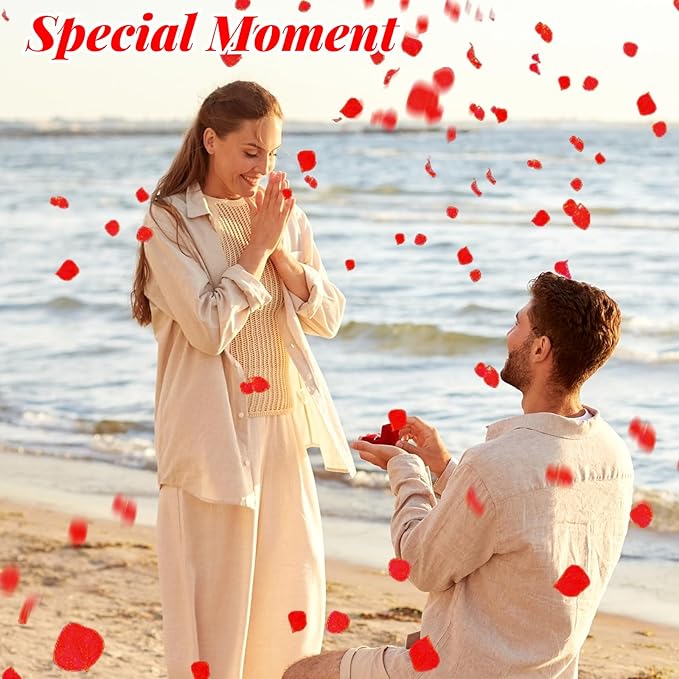 1500+ Real Dried Red Hydrangea Flower Petals - 1.06 oz Natural Preserved Petals for Wedding, Party Confetti,Proposal Decor