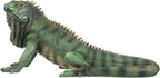 Design Toscano Iggy The Iguana Indoor/Outdoor Garden Statue, Large, 22 Inch Long, Cast Stone Resin, Full Color Finish