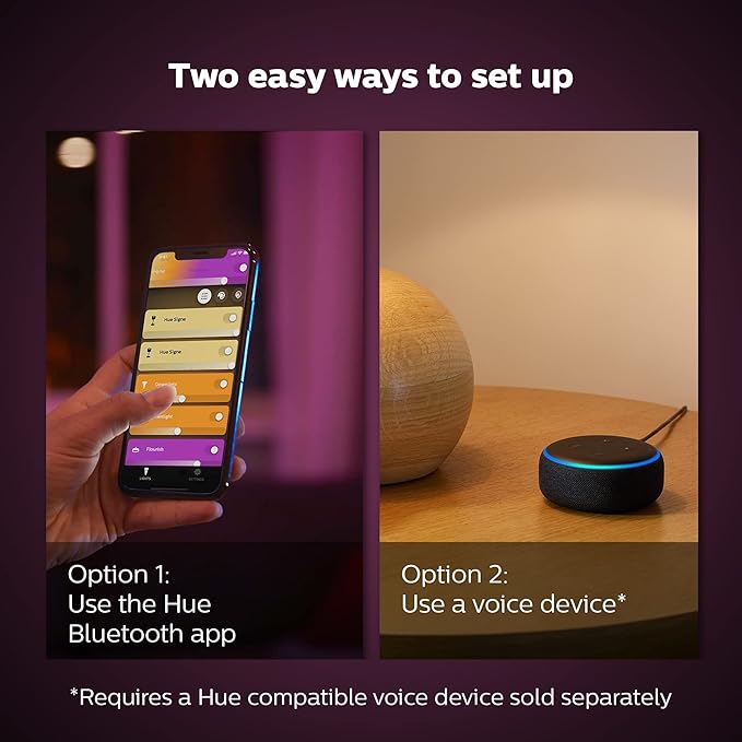 Philips Hue Iris Smart Table Lamp, Gold- White and Color Ambiance LED Color-Changing Light- 1 Pack- Control with Hue App- Compatible with Alexa, Google Assistant, and Apple Homekit