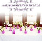 12PCS Hot Pink Vase for Flowers, Small Glass Bud Vases for Centerpieces Purple Flower Vase in Bulk for Home Office Decor