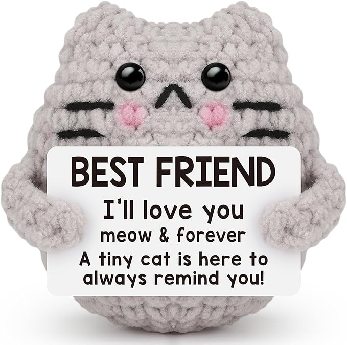 Best Friend Friendship Gifts for Women Men, Birthday Gifts for Friends Female Male Girls,Back to School Friend Desk Home Fall Decor Christmas Stocking Stuffers