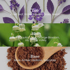 M&SENSE Natural Soy Candle| Forest Lodge | 5.3 oz | Minimalist Scented Candle for Relaxation, Gifting, Home Décor | for Bedroom, Office, Party Small