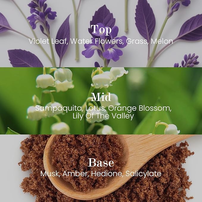 M&SENSE Natural Soy Candle| Forest Lodge | 5.3 oz | Minimalist Scented Candle for Relaxation, Gifting, Home Décor | for Bedroom, Office, Party Small