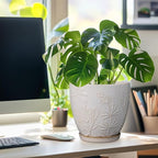 8 Inch Ceramic Pots for Plants Large Planter Pot with Drainage Hole and Saucer Round Flower Pot for Indoor Outdoor Decor, White