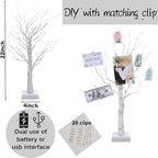 Money Tree Gift Card Holder 24 LED Birch Twig Treelights Battery/USB Powered Light Up Display Twig Gift Card Holder with 22 Clear Clips for Graduation Birthday Wedding Photo (Warm Color)