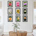 12 Packs 5x7 Picture Frames Bulk, Display 4x6 with Mat or 5x7 Without Mat, Black Gallery Frame Set, 5 by 7 Frames Bulk Set of 12, Collage Wall Decor Photo Frame Set for Wall and Tabletop, Black