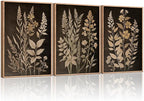 HLNIUC Vintage Botanical Fern Framed Canvas Wall Art Set,Black and Tan Plant Leaf Wall Decor,Netural Minimalist Herb Floral Art Print,Modern Farmhouse Wall Painting for Living Room,Bedroom - 16”x24”x3
