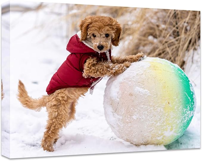 Personalized Photo to Canvas Print - Canvas Prints With Your Photos on Custom Wall Art for Bedroom, Living Room, Wedding Baby Pet Family Picture Framed Wall Art (20" W x 16" H)