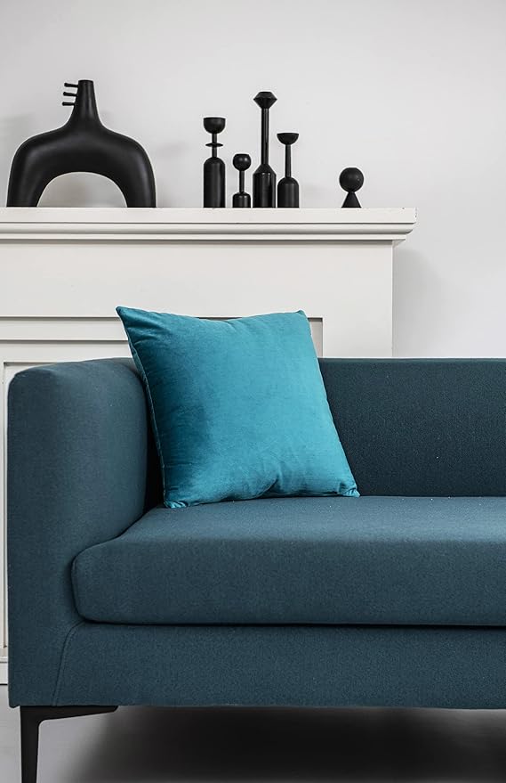 Throw Pillow Cases 22x22 Turquoise: 2 Pack Cozy Soft Velvet Square Decorative Pillow Covers for Farmhouse Home Decor