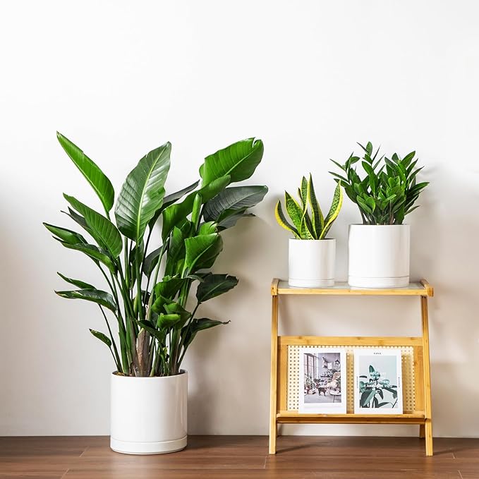 vancasso Ceramic Planters, Plant Pots for Indoor Plants, 6.25+8.25+10.25 Inch Ceramic Pots for Plants, Flower Pots with Drainage Holes, Planters Pot for Indoor House Plant, Set of 3, White