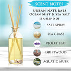 Urban Naturals Ocean Mist & Sea Salt Reed Diffuser Set | Made with Essential Oils & Real Seashells | Decorative Air Freshener Room Diffuser