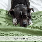 MIULEE Sage Green Knitted Throw Blanket for Couch Textured Spring Knit Blanket with Tassels Cozy Woven Boho Bed Blanket for Sofa Bed Chair Acrylic Wave Pattern 50"x60"