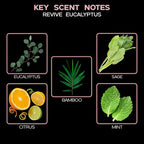 LOVSPA Eucalyptus Reed Diffuser Set for Home, Revive Fresh Eucalyptus, Sage, Citrus & Mint Scent Diffuser with Sticks for Bathroom Shelf Decor Accessories, Top Aromatherapy Gift for Women