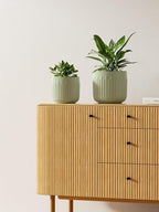 LE TAUCI Fluted Ceramic Planters Set of 3 – 8.3/7 / 5.7 in Sage Green Reactive Cylinder Indoor Plant Pots with Drainage Plug & Mesh, Glossy Stoneware Flower Pots for Succulents Herbs