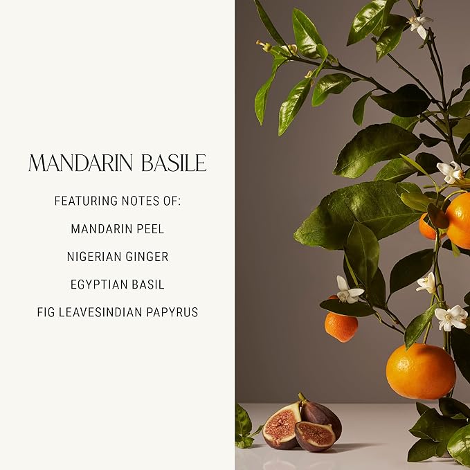 Homecourt Room Deodorant, Natural Room Spray, Fine Fragrance of Basil & Ripe Fig, For Kitchen, Bathroom & more, Clean Formula, Mandarin Basile, 3.4 oz