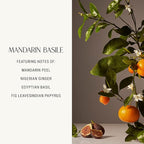 Homecourt Luxury Scented Candle, Mandarin Basile Scent, 60-Hour Burn Time, Soy Wax Blend, Organic Cotton Wick, Kiln-Fired Reusable Ceramic Vessel, 8 Oz