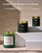 M&SENSE Celestial Cypress - Cedar & Spice Soy Jar Candles, Cedarwood Cardamom Large Winter Scented Candles 19.4oz 110 Hour Long Lasting Burn, Non Toxic Natural Warm Woody Scent Gifts for Men Women