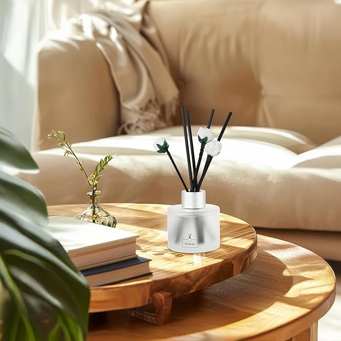 Brakula Reed Diffuser Set, Eucalyptus & Mint Scented， Reed diffusers for Home， Home Fragrance Diffuser with 7 Reed Sticks for Room/Bathroom Decor 3.38 fl oz(Eucalyptus & Mint)